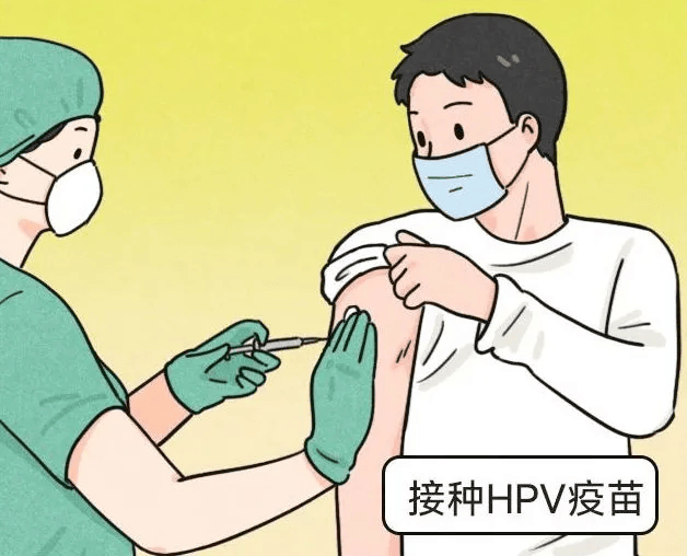 男生免疫力差易反复感染HPV男性感染HPV后，多数为隐性感染，无明显临床症状。这