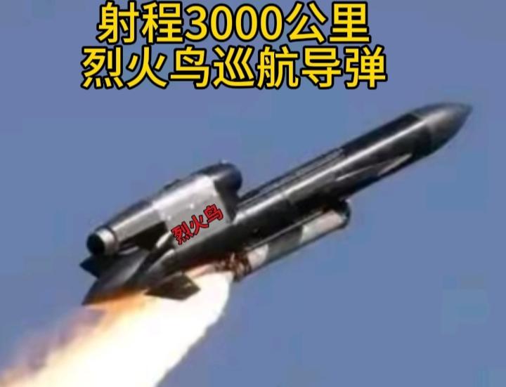 毁伤能力：威力巨大。主要优势在于破坏力极强。
1吨级战斗部：威力是美军“战斧”导