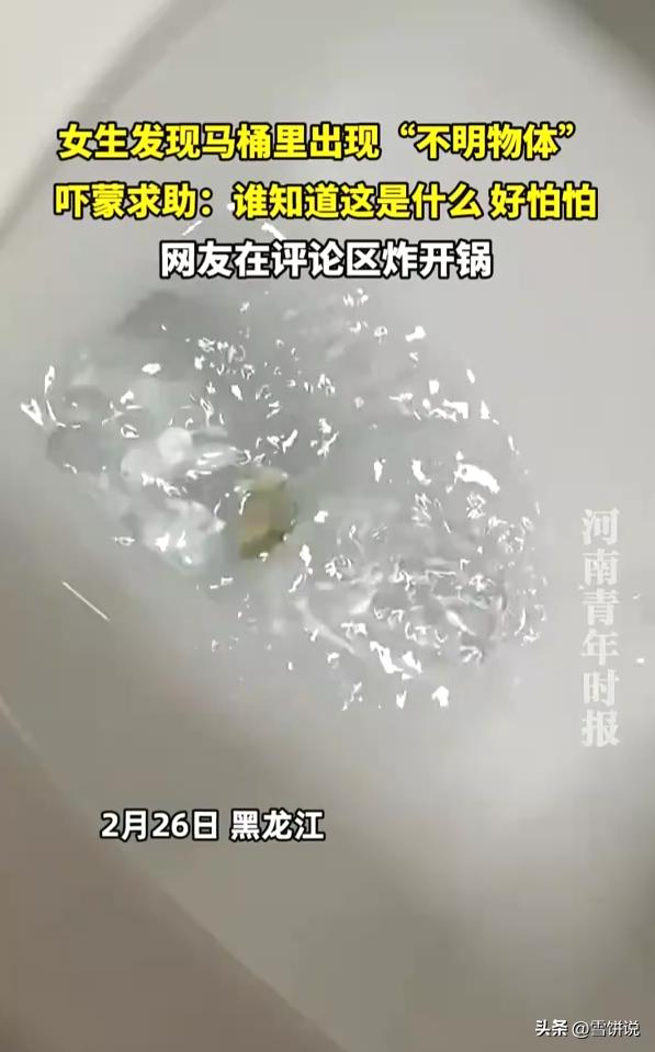 吓坏了！黑龙江伊春，女子在家里上厕所，低头一看马桶里面有个东西，她第一反应是塑料