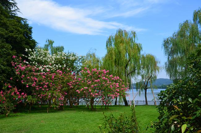 谁懂啊！随手一拍的日常，居然藏着这么多治愈瞬间！
 
午后溜达到巷口的老茶馆，阳