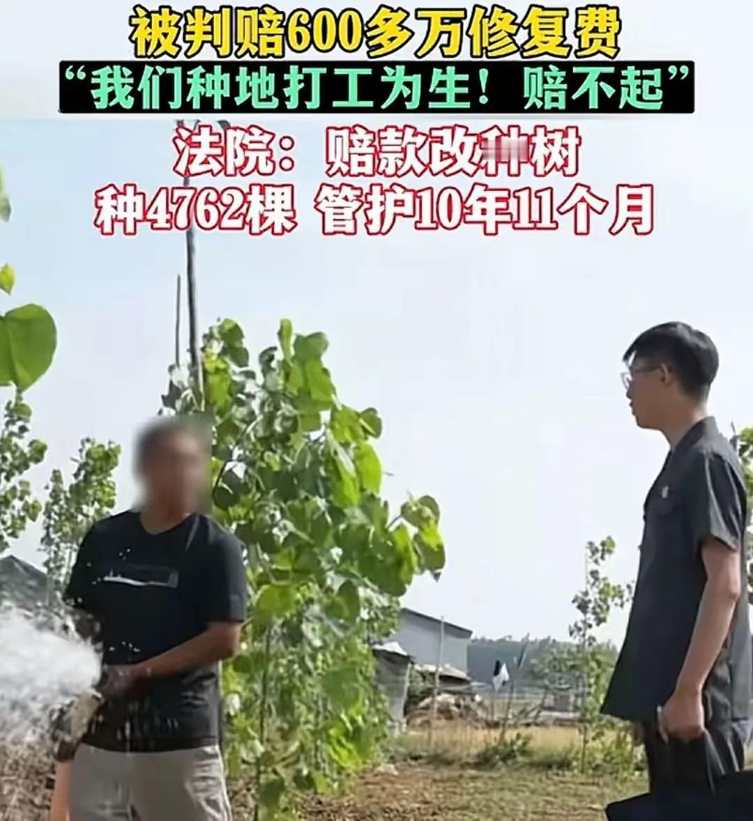 这父子二人还算是获得了法外开恩的待遇。

抓了2万多只鸟，被判600万损失赔偿，