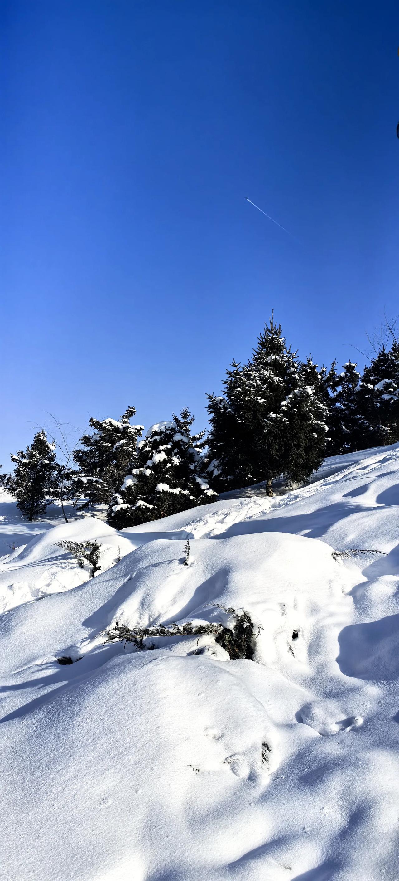 晒一下你相册里的雪景照片吧