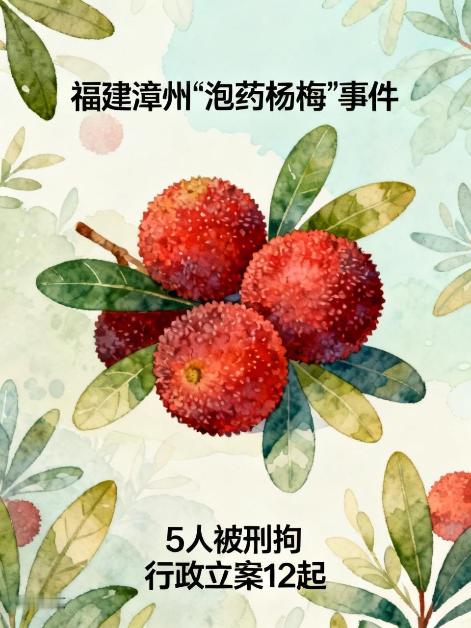 福建漳州“泡药杨梅”事件5人被刑拘 福建漳州“泡药杨梅”事件闹得沸沸扬扬，如今官