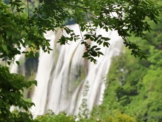 今年春天最想实现的心愿 今年春天，我最想实现的心愿就是去贵州看黄果树瀑布。
春日