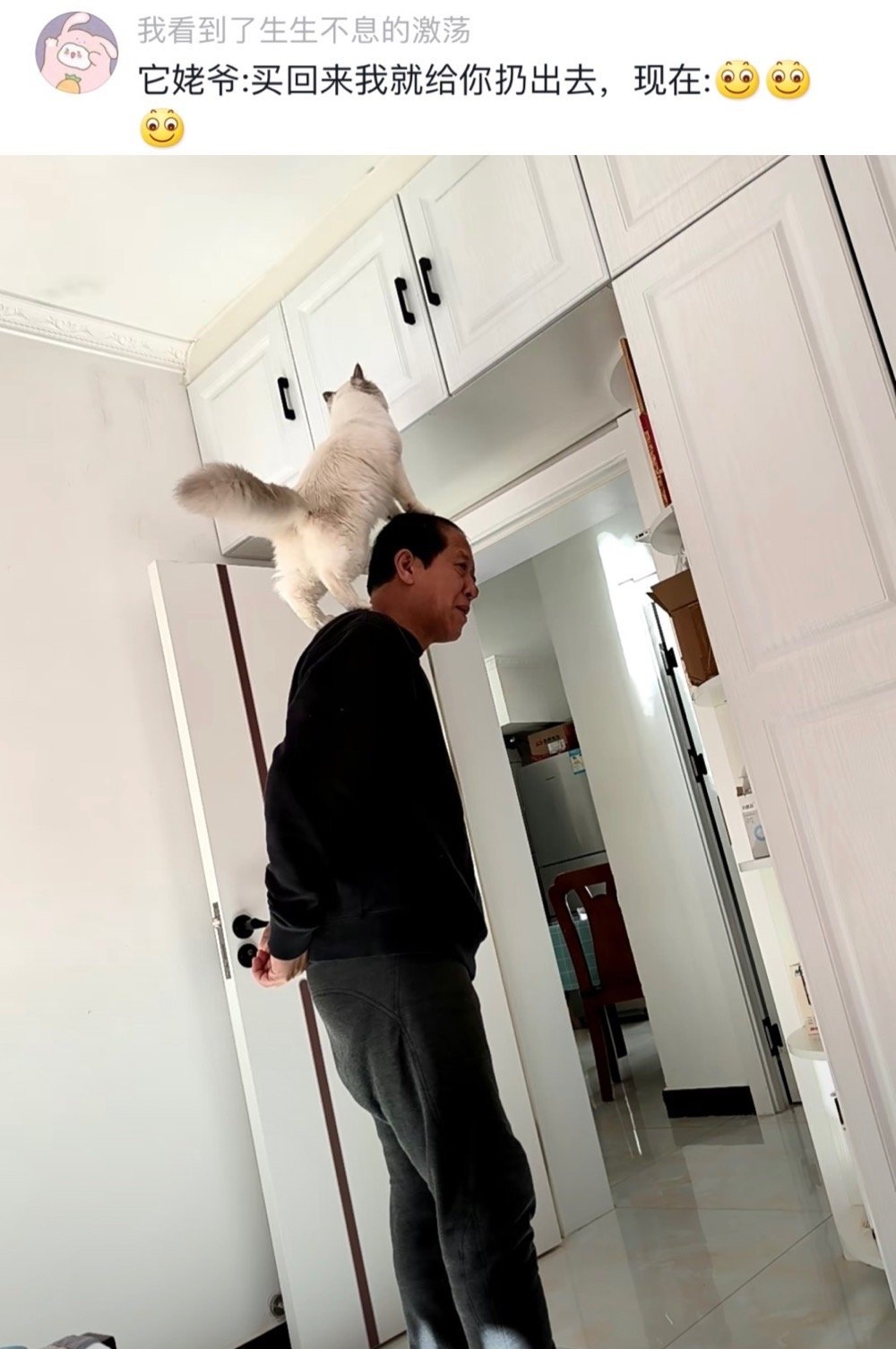#龙年造梗大赛# 果然猫猫会征服每个嘴硬的长辈[doge]猫咪：你只管带我回家，