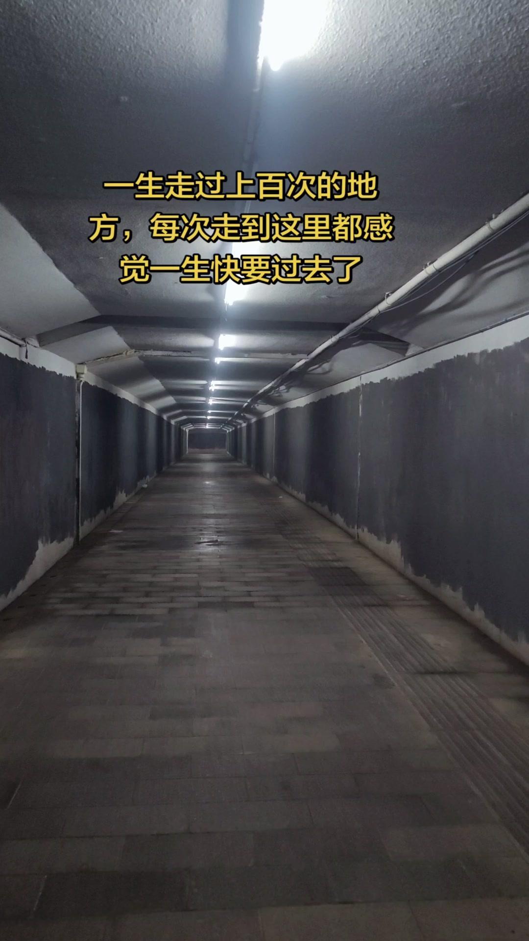 老地方，每次路过脚步总会慢下来。明明走了上百次的路，却会突然发呆：人从哪里来，又