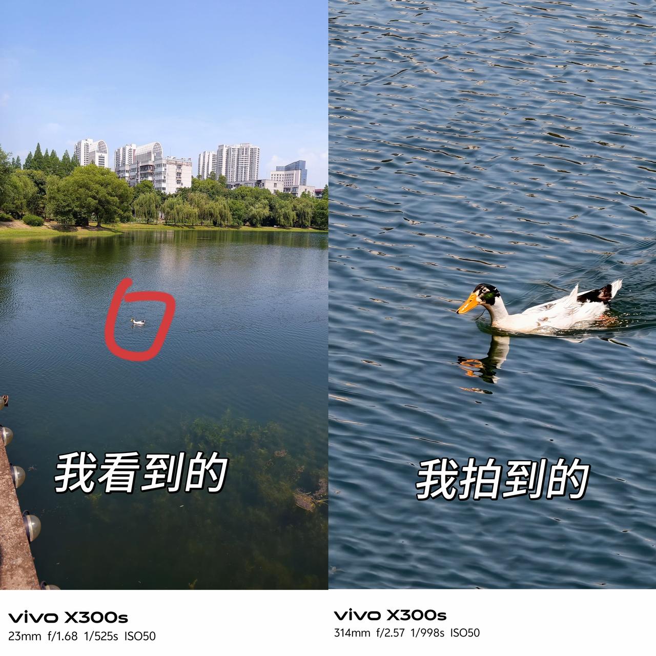 暑假来了，约上三五好友，去奔赴一场期待已久的旅行——看山看海，或者干脆就在城市里