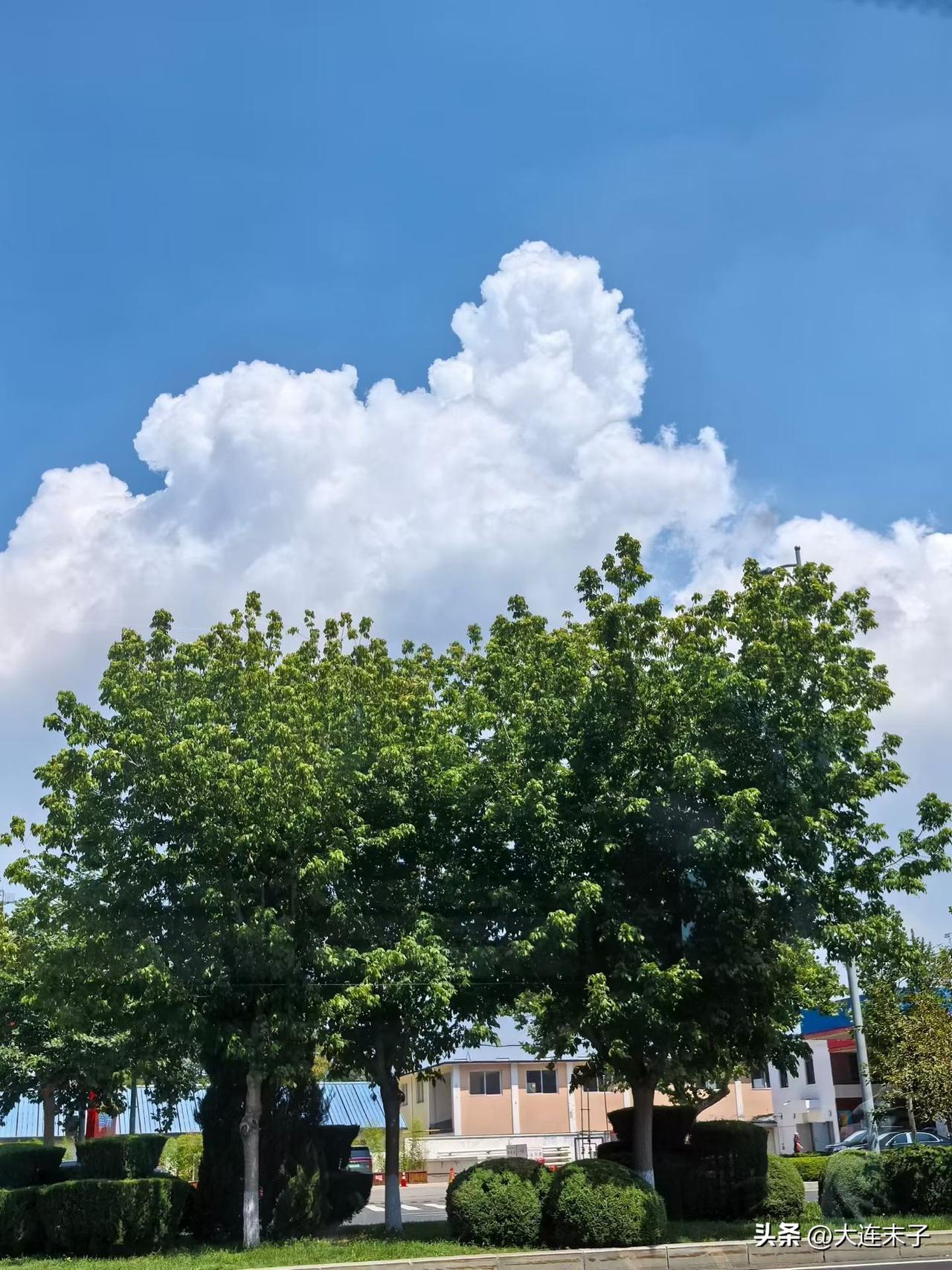 35度以上高温持续！

大连连续三天发布高温黄色预警信号了！

7月30日到8月