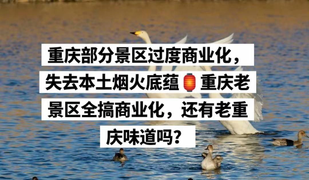 重庆不少老牌老街景区过度商业化，满街雷同小吃、文创商铺，千篇一律没有本土特色。只