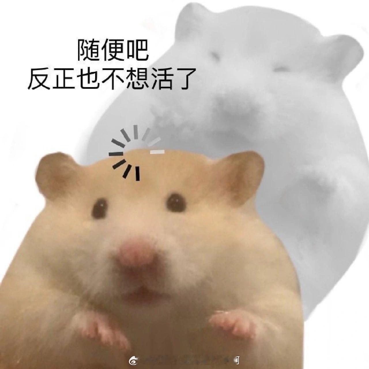 心寒 年度爱用说无广就是无广 随便发誓被车撞死天打雷劈再也赚不到钱都可以 实话实