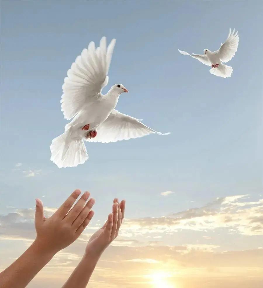 地区安全无小事，和平稳定才是正道
 
近期国际局势复杂多变，地区安全与国家关系备