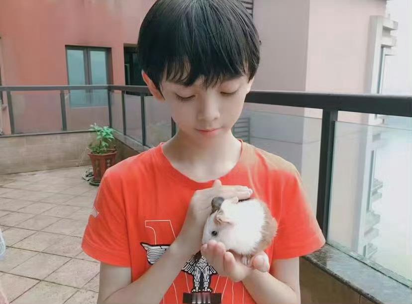 人生理想是死皮赖脸躺在路边装可怜等行锅锅把我捡回家 ​​​