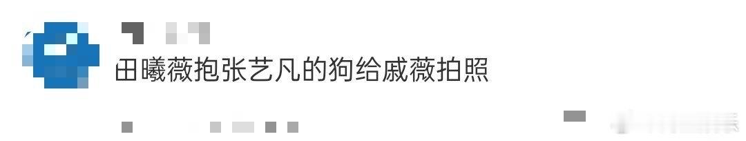 田曦薇抱张艺凡的狗给戚薇拍照 修狗乖乖待在怀里，田曦薇低头和它说话，戚薇举着手机
