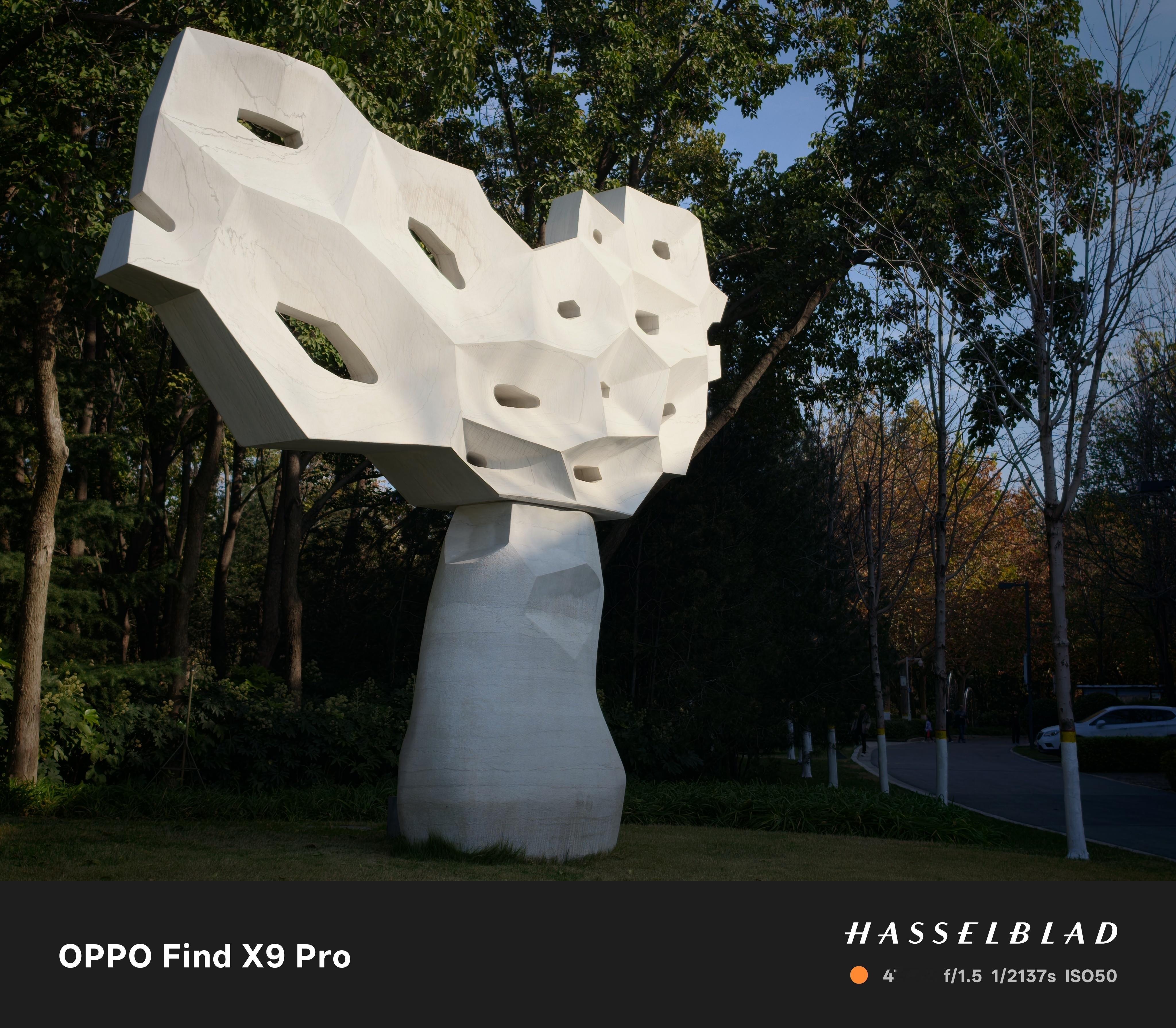 随手拍，打几分？