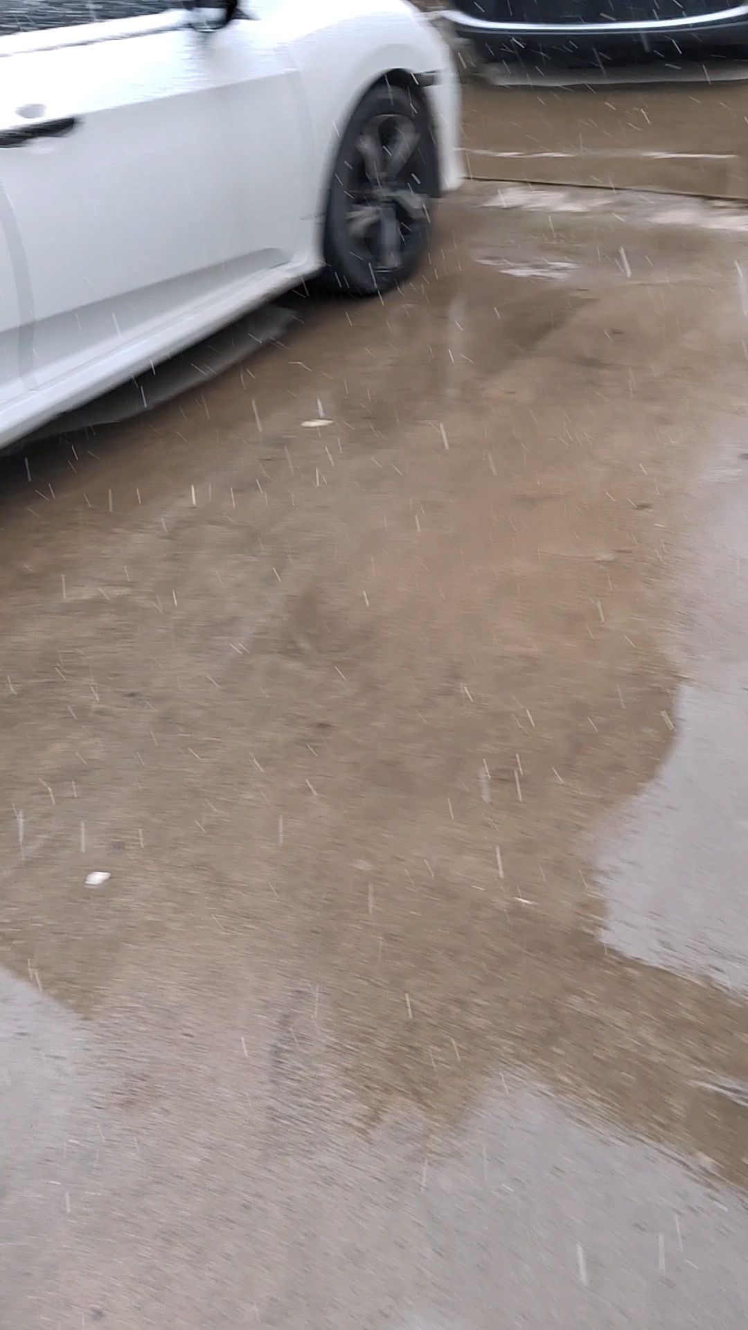 全民期盼的雪，虽迟但到。不算大，落地就化了。没想到的是，中午放学，老大直接背着书