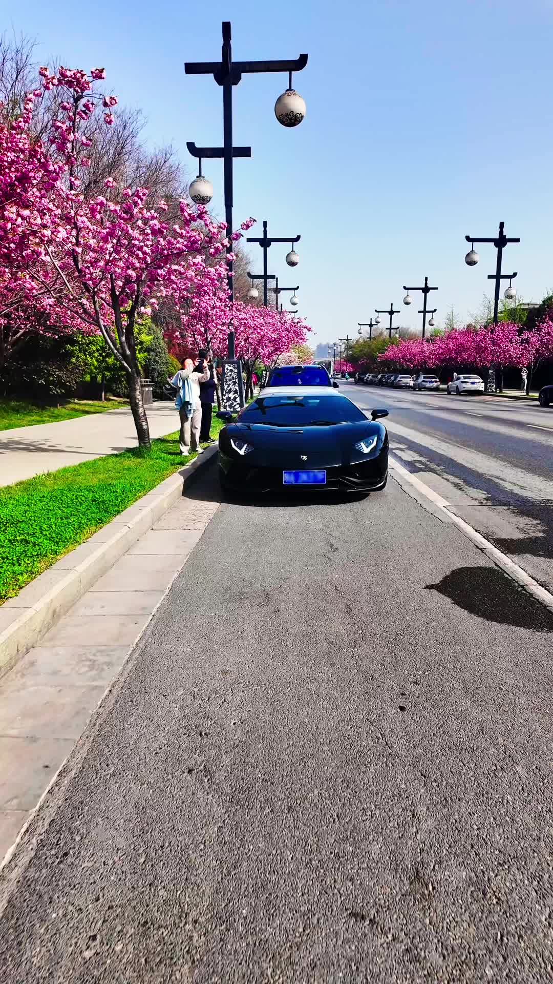 汽车摄影 兰博基尼aventador