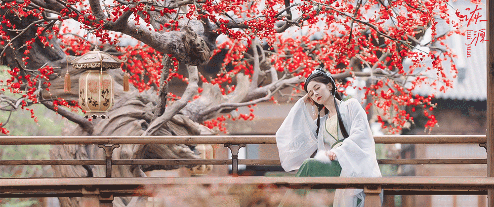 迪丽热巴 《白日提灯》贺思慕 / 动图▷EP11-12 绿衣（绿白）-花树下🌸