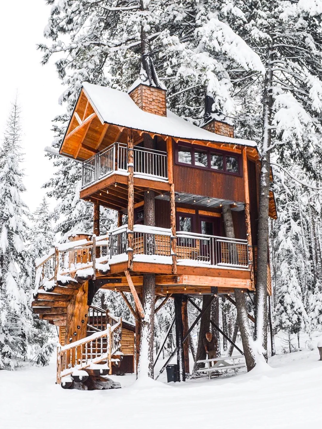 美国旅行🪵私人丛林神秘树屋 冬季宛如童话