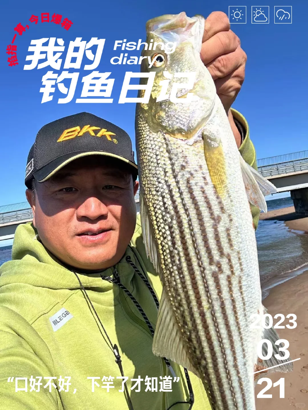 真正的龙虾🦞杀手条纹鲈~