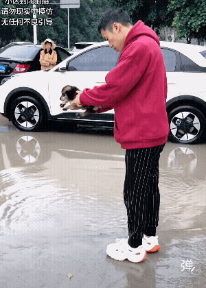 鞋没湿，车没脏，小狗被放囊中装。人倒立，手做桩，主驾稳坐驶前方!