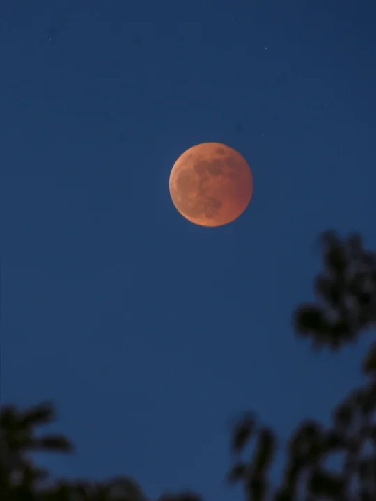 新手也能拍爆朋友圈的月全食教程🌕附参数