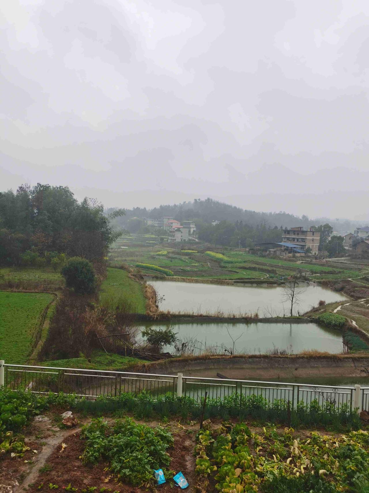 我的今日状态：🏝️旅行度假
我这里的天气：🌧下雨

三月的风，吹来了春暖花开