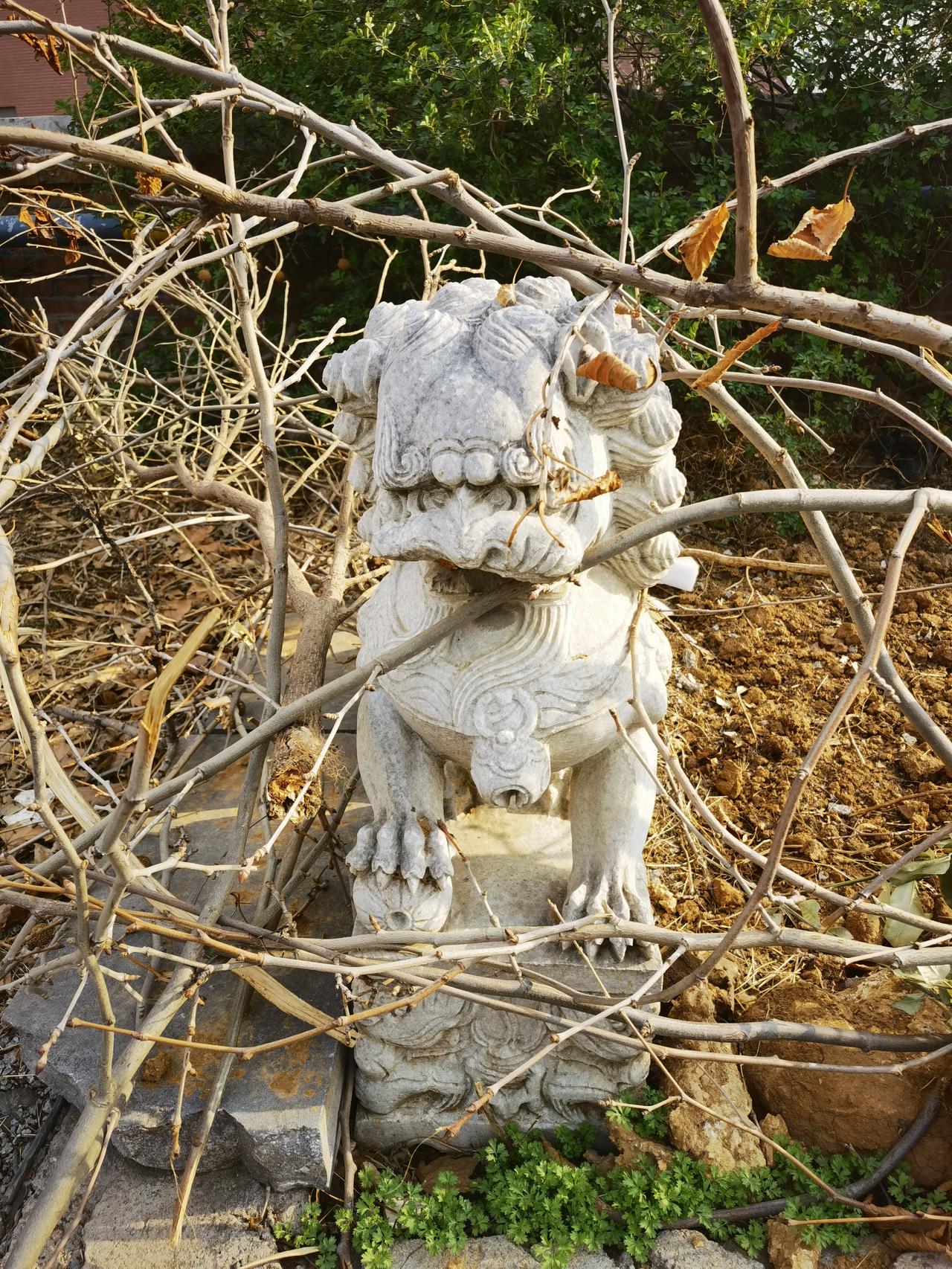 女足亚洲杯决赛是哪两支球队？澳大利亚和日本，这是女足的最高水平，我们，还在努力。