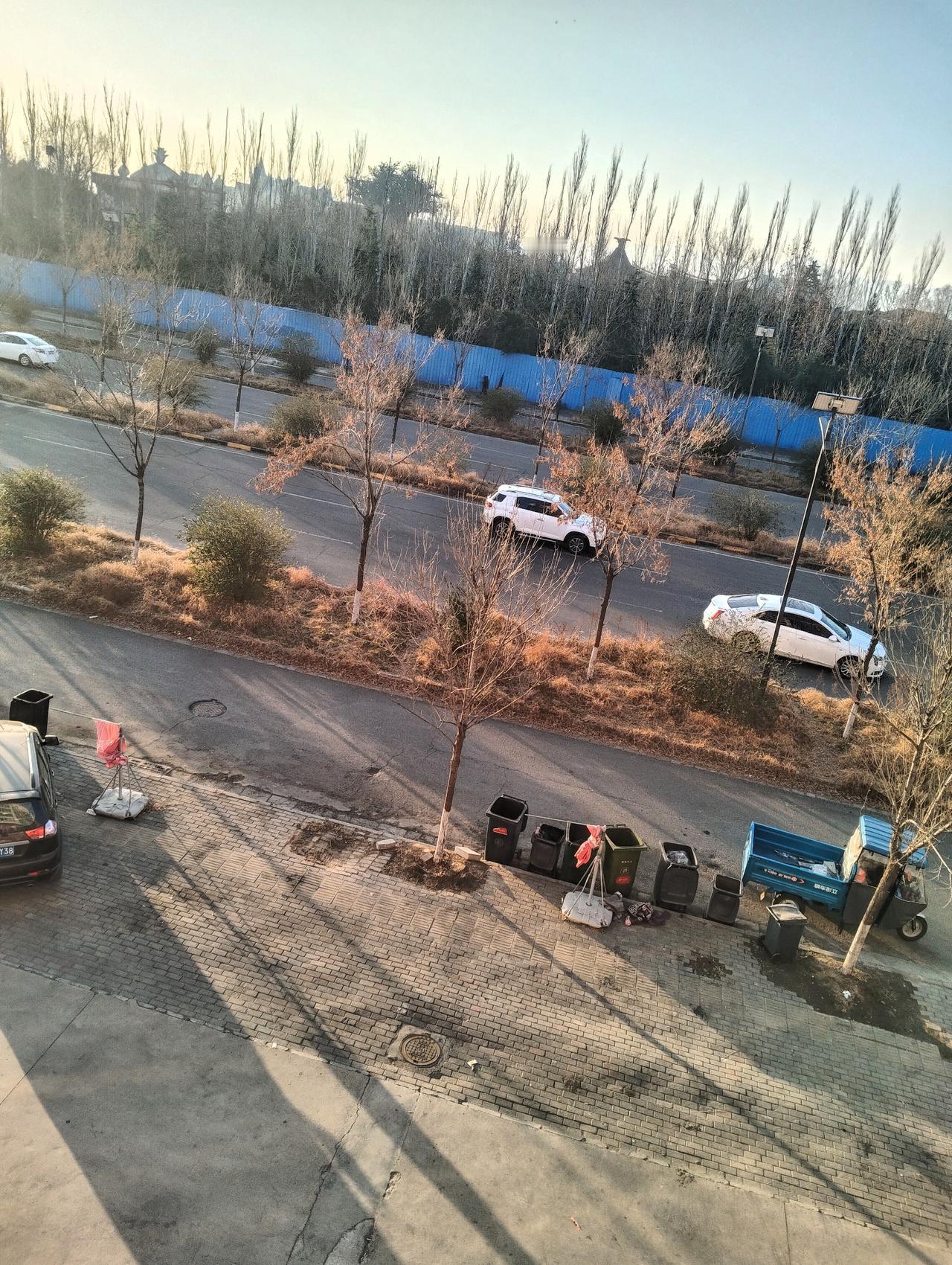 站在窗边望着这片冬日的城郊景象，心里突然生出些不一样的感触。光秃秃的树枝在暖阳下