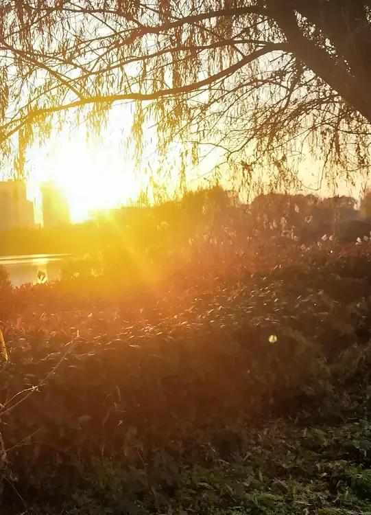 城市与自然的和谐共存，夕阳下的静谧时光。 

我的家乡是四五线的小县城，南倚巍巍