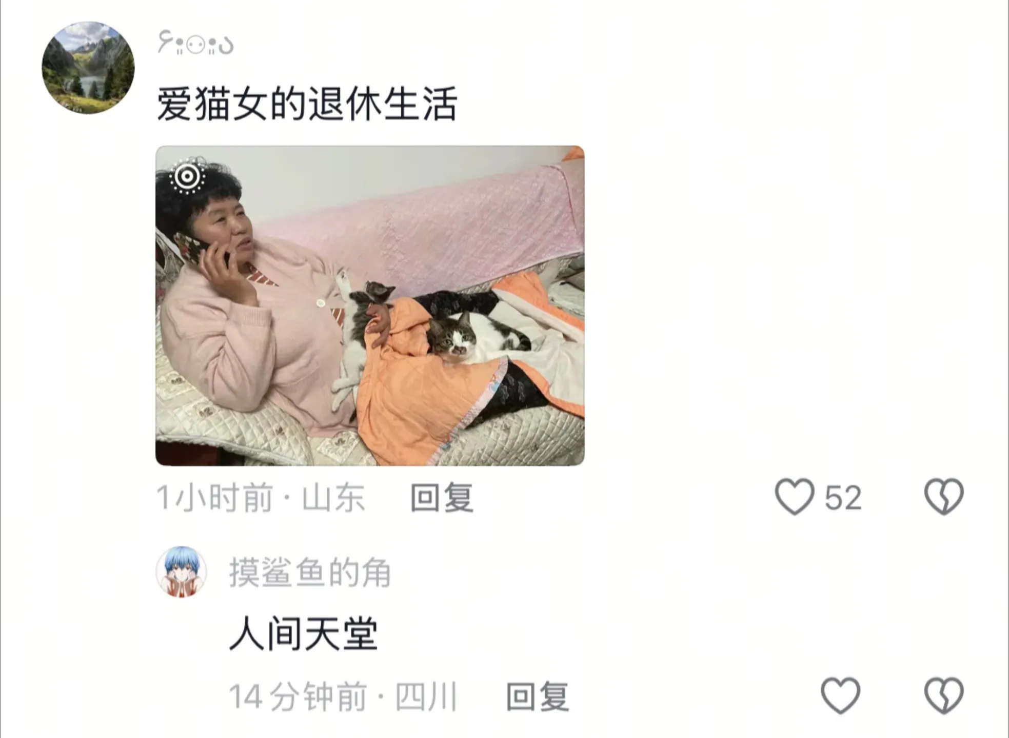 想看看大家慈母多败咪到什么程度了 