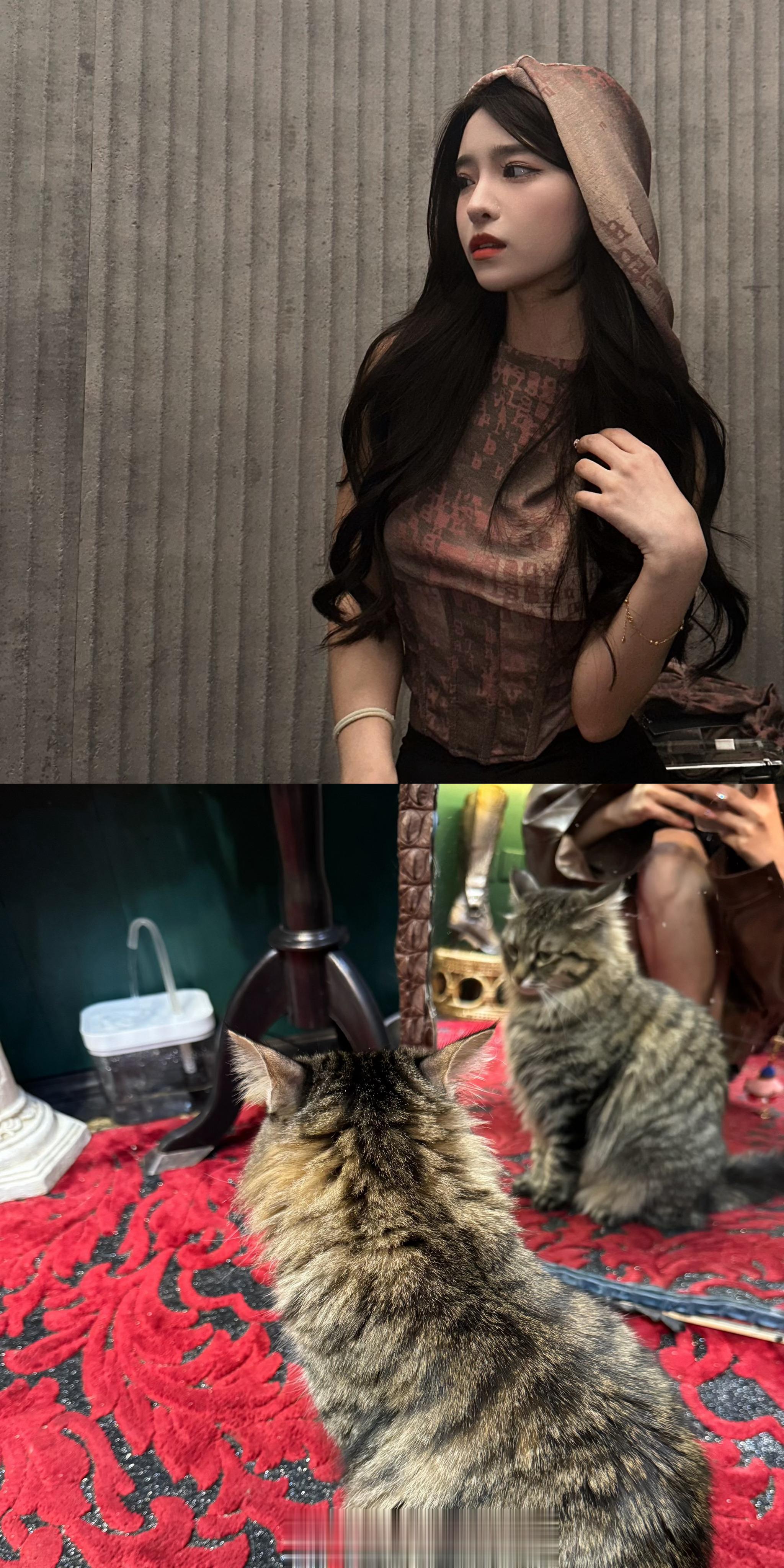 分享图片 ​​​