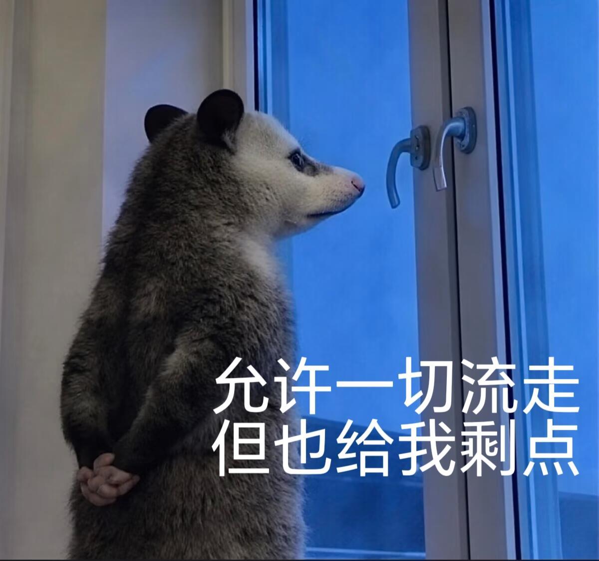 笑死🤣这个负鼠表情包繁殖得太快了