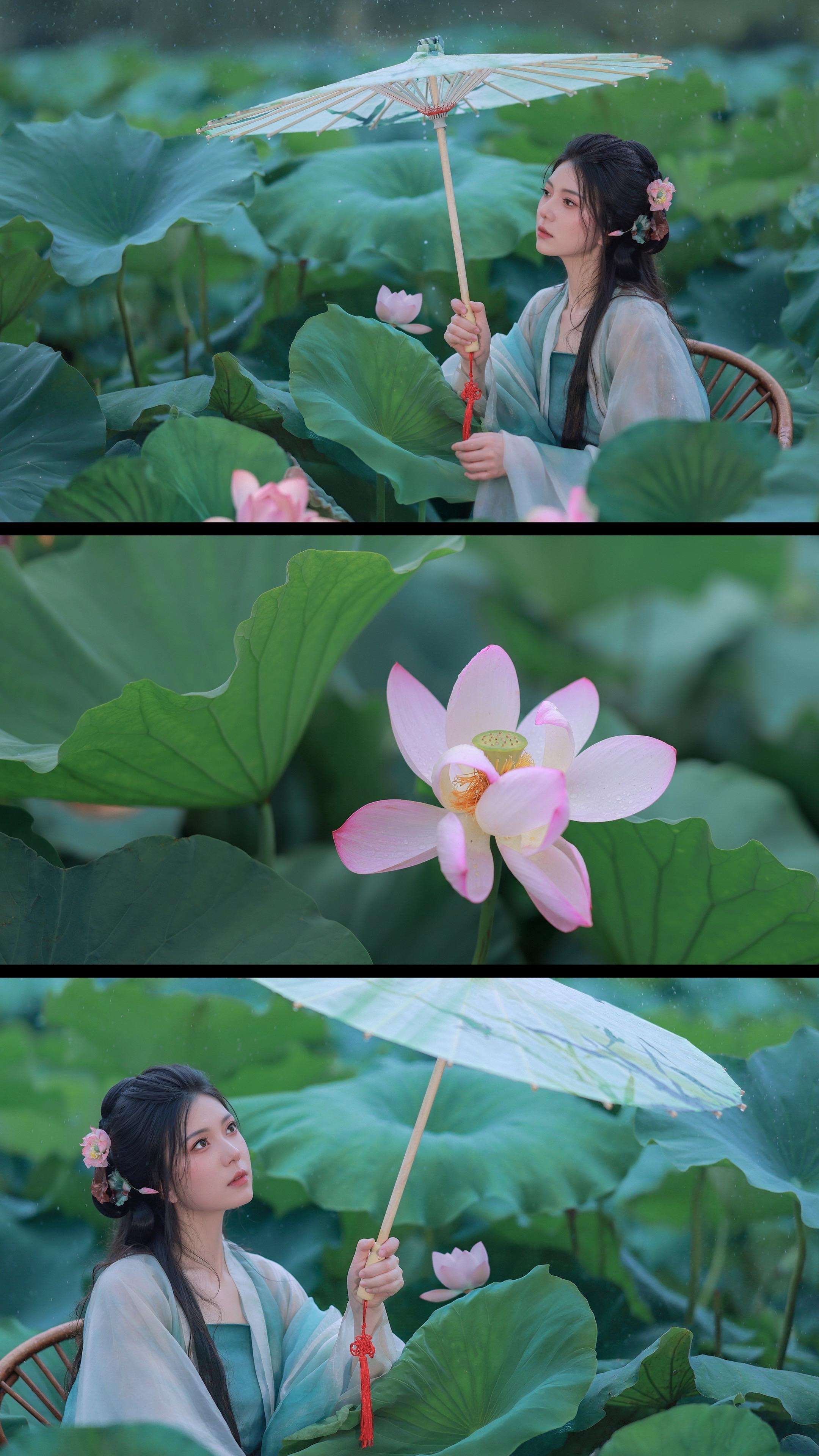 雨中荷花别有一番韵味