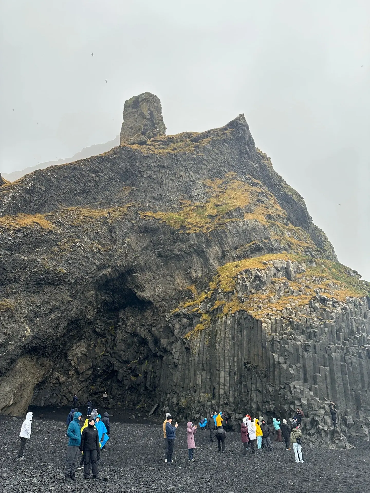 被你艾特的人 会陪你去冰岛🇮🇸