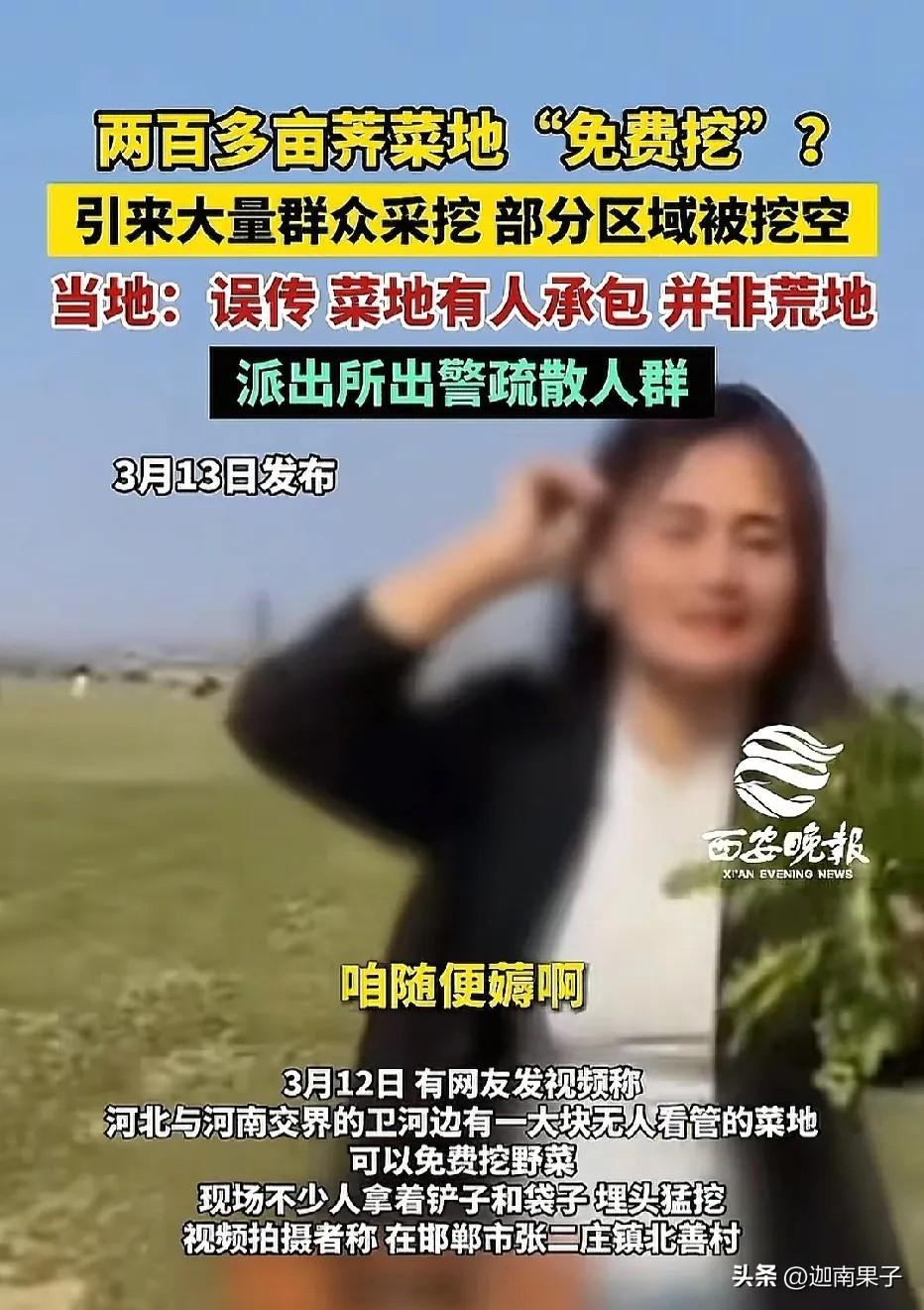 “卫河边几百亩荠菜没人要，免费随便挖，快来薅！”河南安阳女博主为博流量造谣引流，