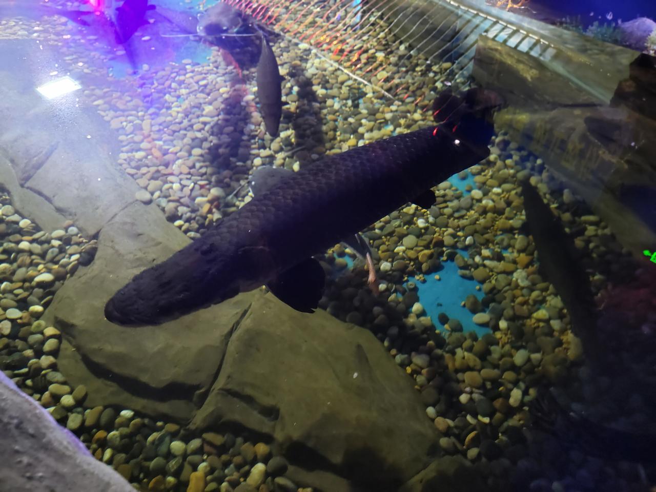 解决孤独最好的良药，
从不是独自硬扛，
而是主动伸手触碰生活。
可以和家人唠唠家