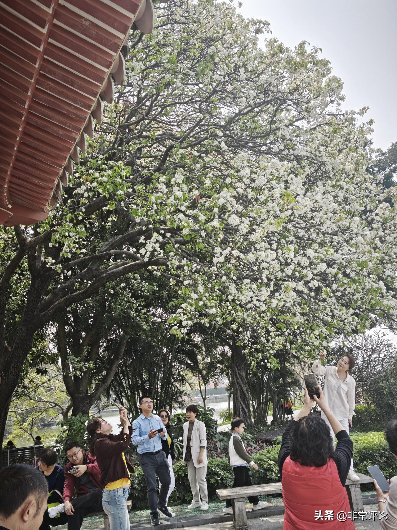 春日生活打卡季春日暖阳，微风拂面。柳丝轻扬，野花遍地，溪水潺潺。漫步林间，感受万
