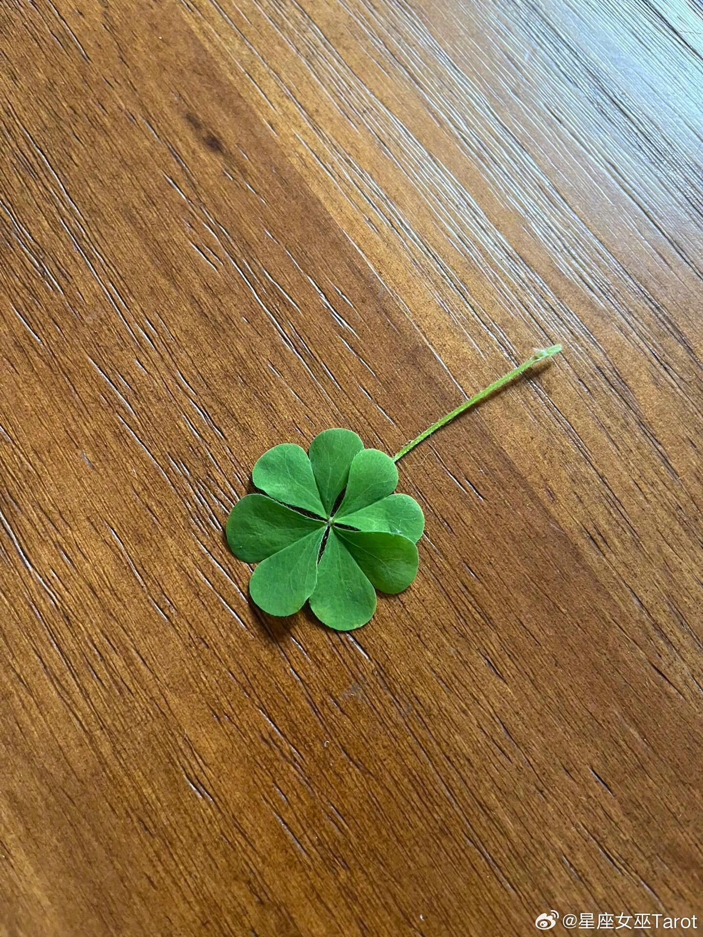 秒赞！立秋就是你转好运的开始🍀 