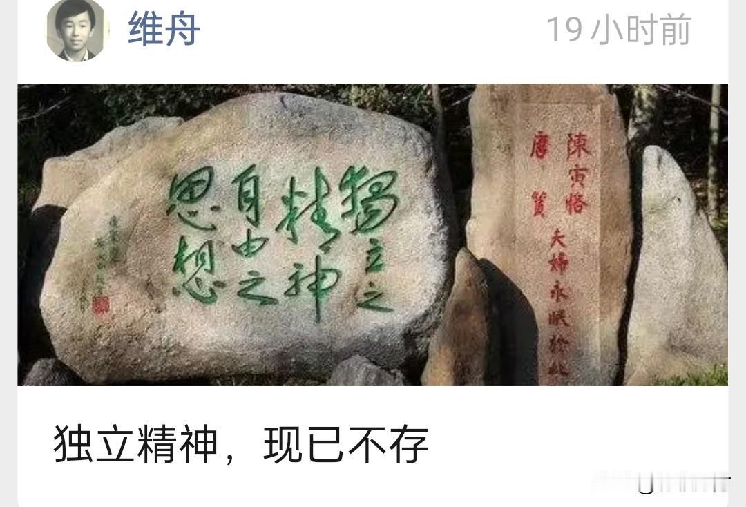 早上看到维舟的公众号有更新，想着等下再看也不迟，结果等下午打开的时候已经打不开了