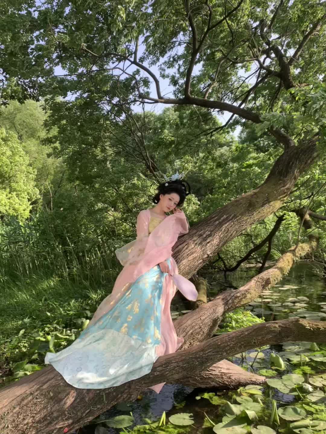 一棵大树