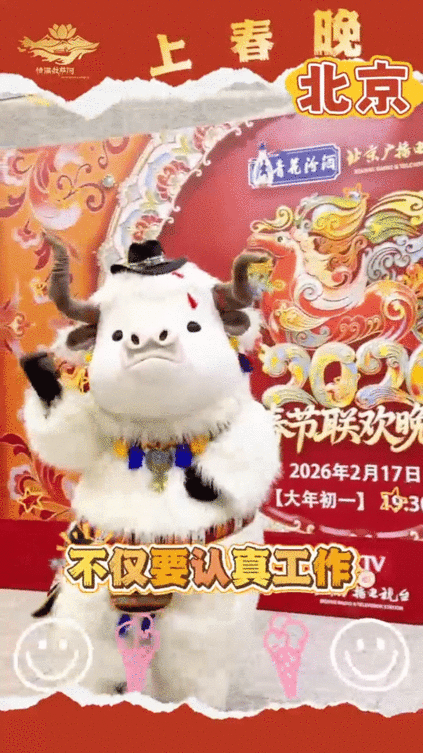 拉萨这4头牛的舞姿还是太曼妙了拉萨这4头牛在马年春晚又唱又跳的 看完拉萨牛牛天团