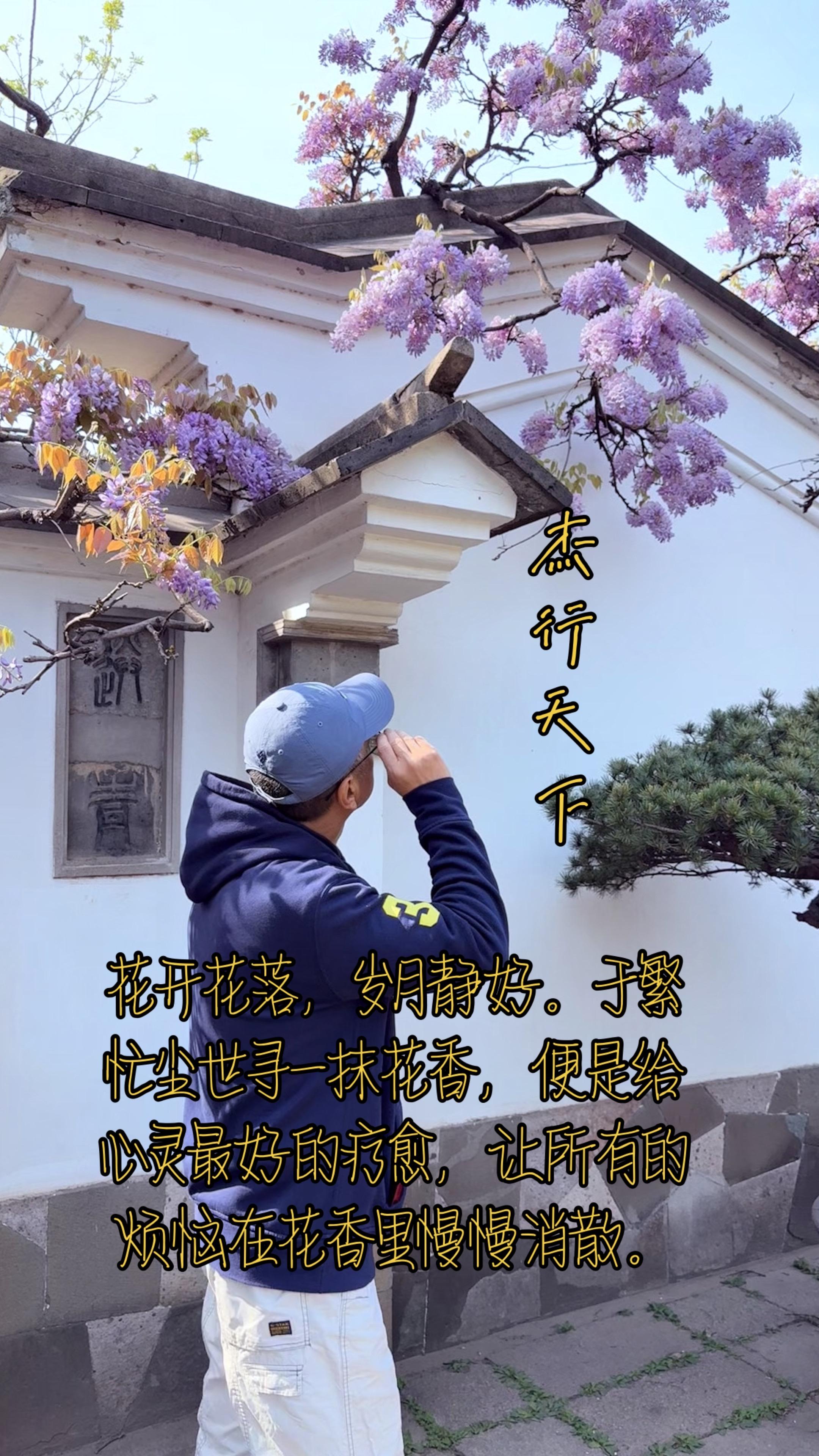 花开花落，岁月静好。花开花落，岁月静好。于繁忙尘世寻一抹花香，便是给心...