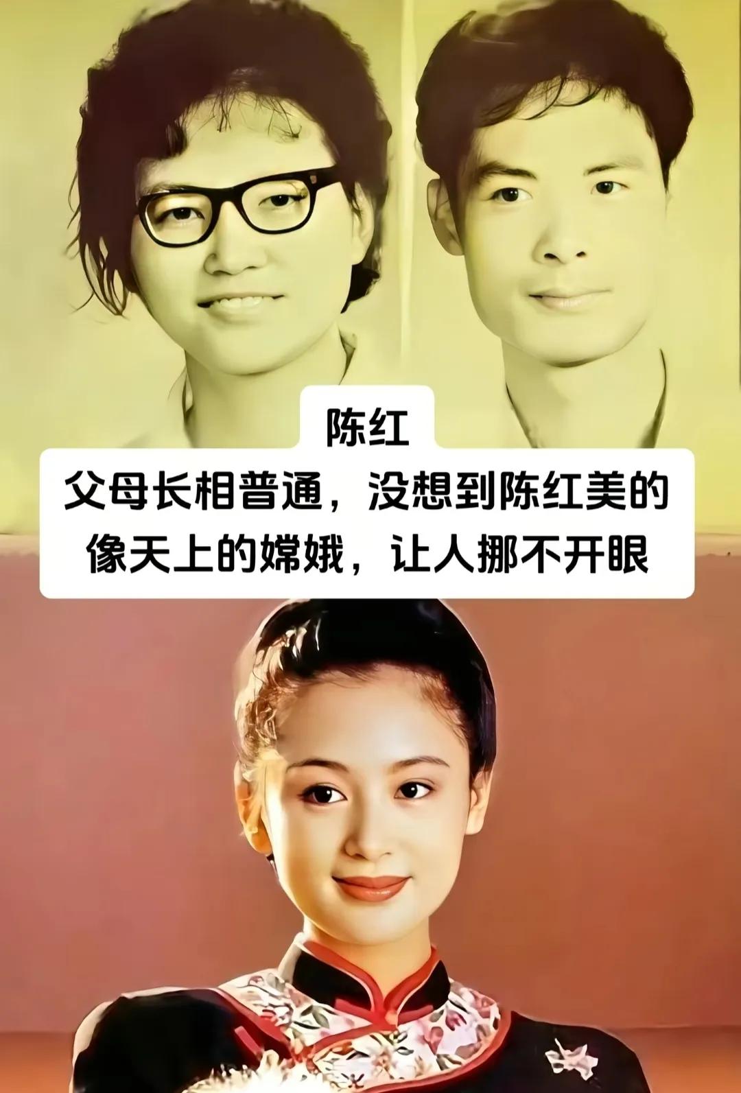 这算不算中基因彩票？

爸爸妈妈，就是普普通通样子

她的样子年轻时算的上惊为天