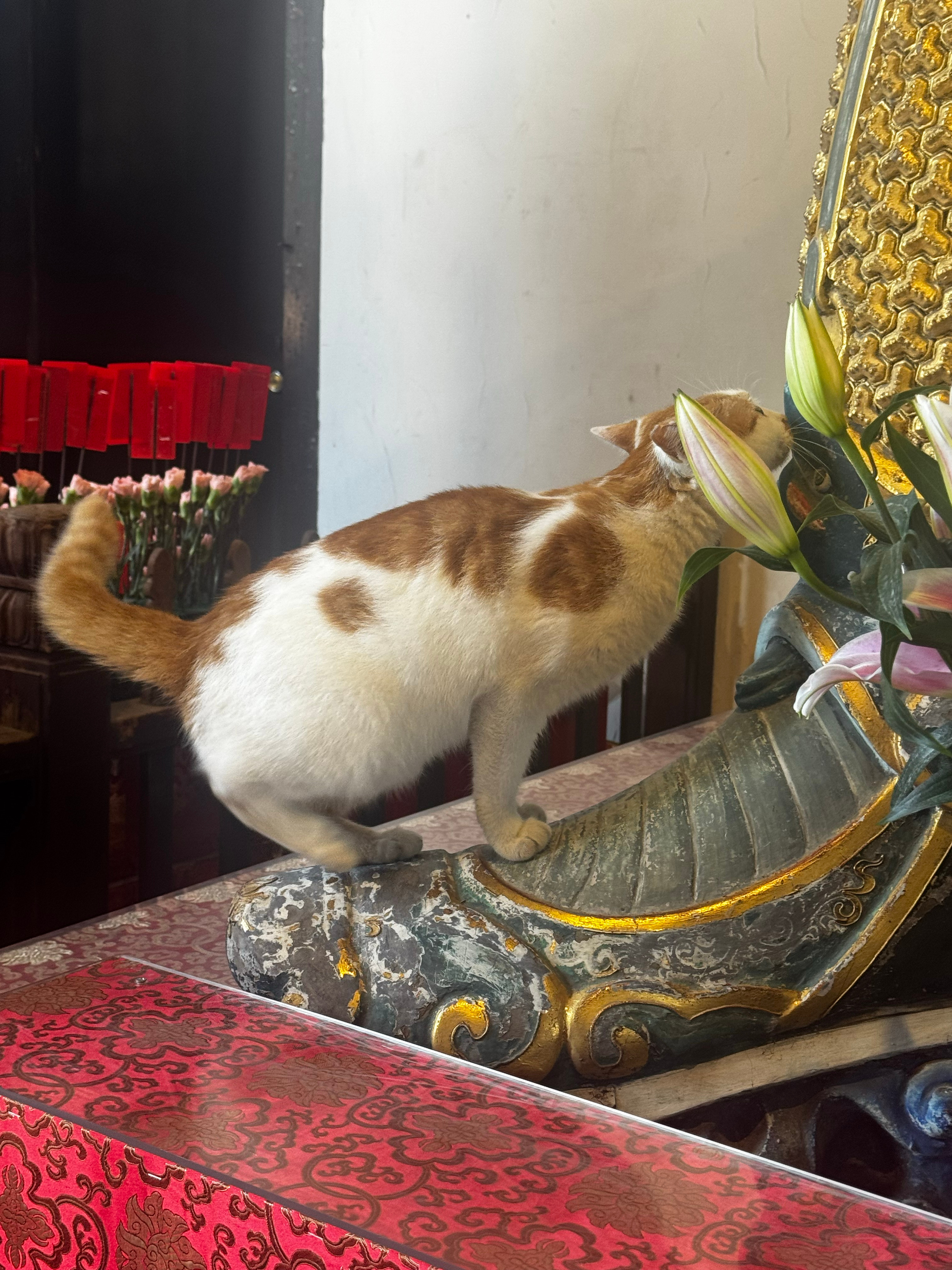🙏🏻🙏🏻🙏🏻  ​​​