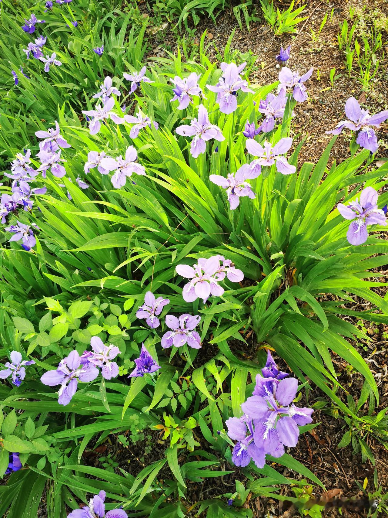 人这一生，喜怒哀乐皆是修炼。

欢喜来时，矜持些，

莫刺痛旁人眼，

多为明天