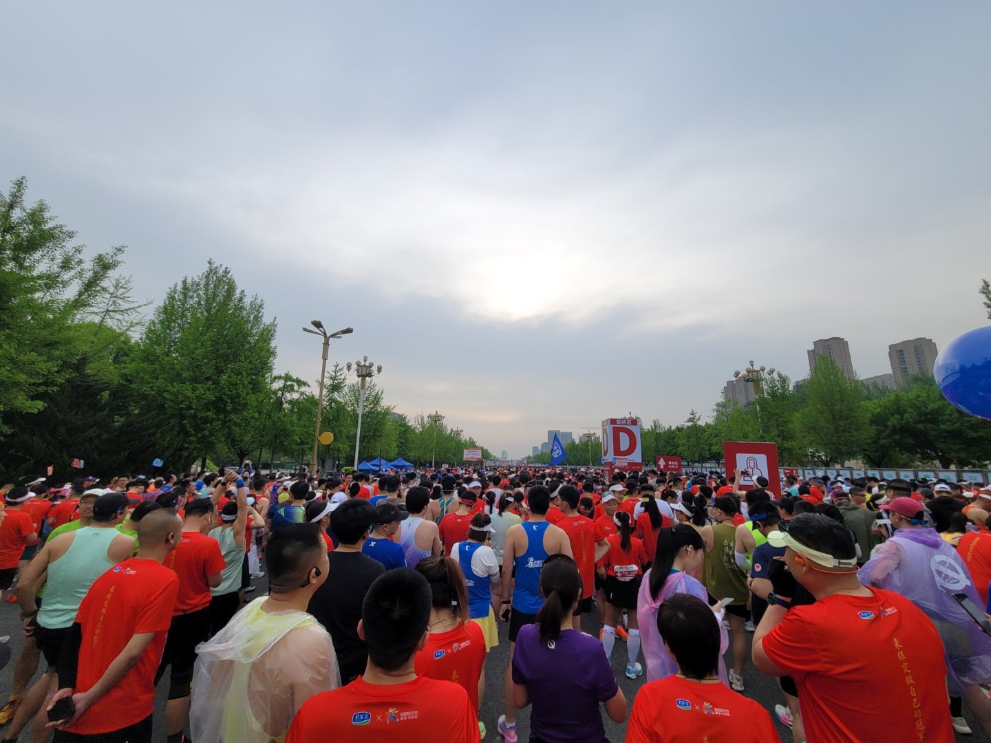 E区菜鸟，准备起跑 