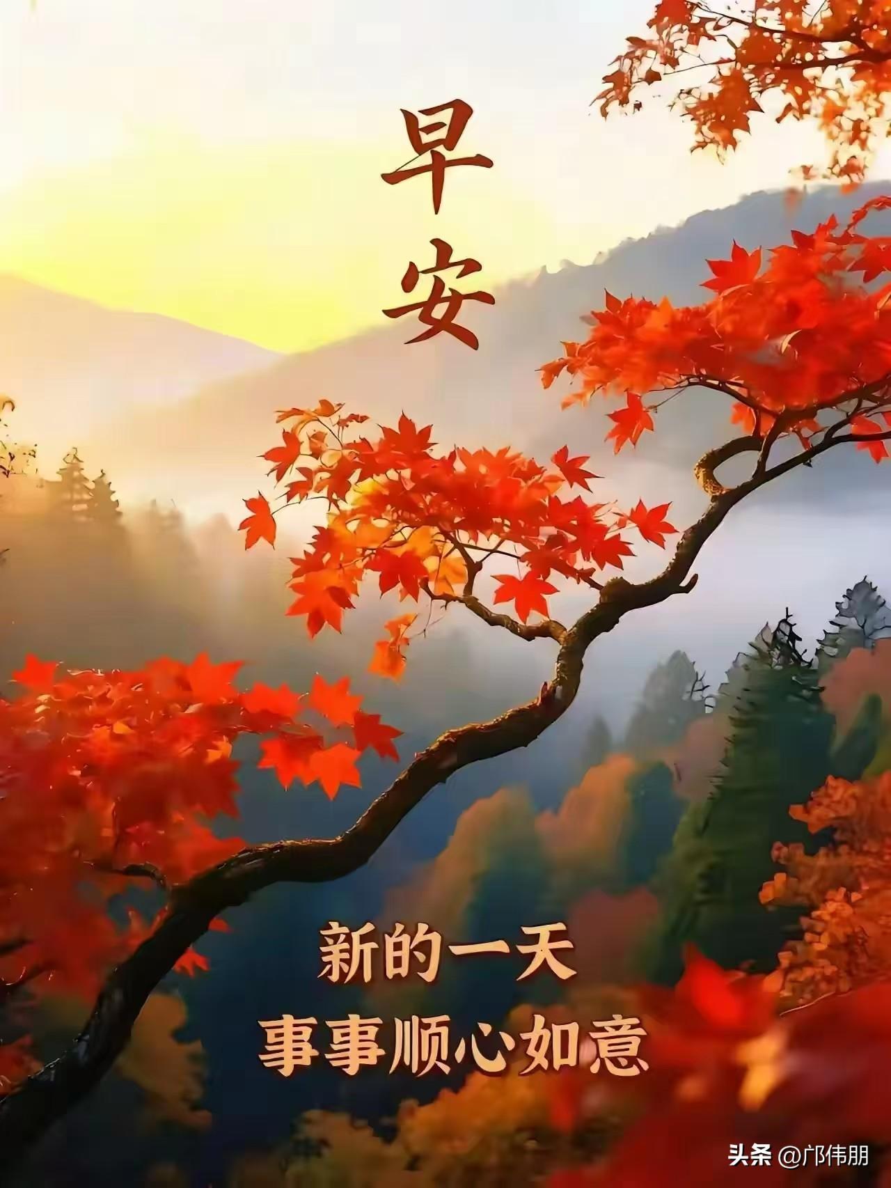[心]早安心语[心]
 
朝来万浪拍防城，
晓色铺湾海气清。
白鹭斜飞迎旭日，