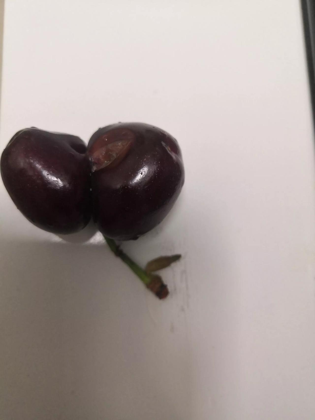 又是樱桃上市的时节，吃了这么多年樱桃才发现，这样的连体樱桃，尽量不要买。

它中