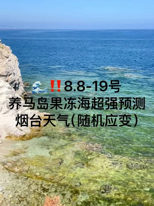 📍8.8-19号烟台养马岛果冻海超强预测