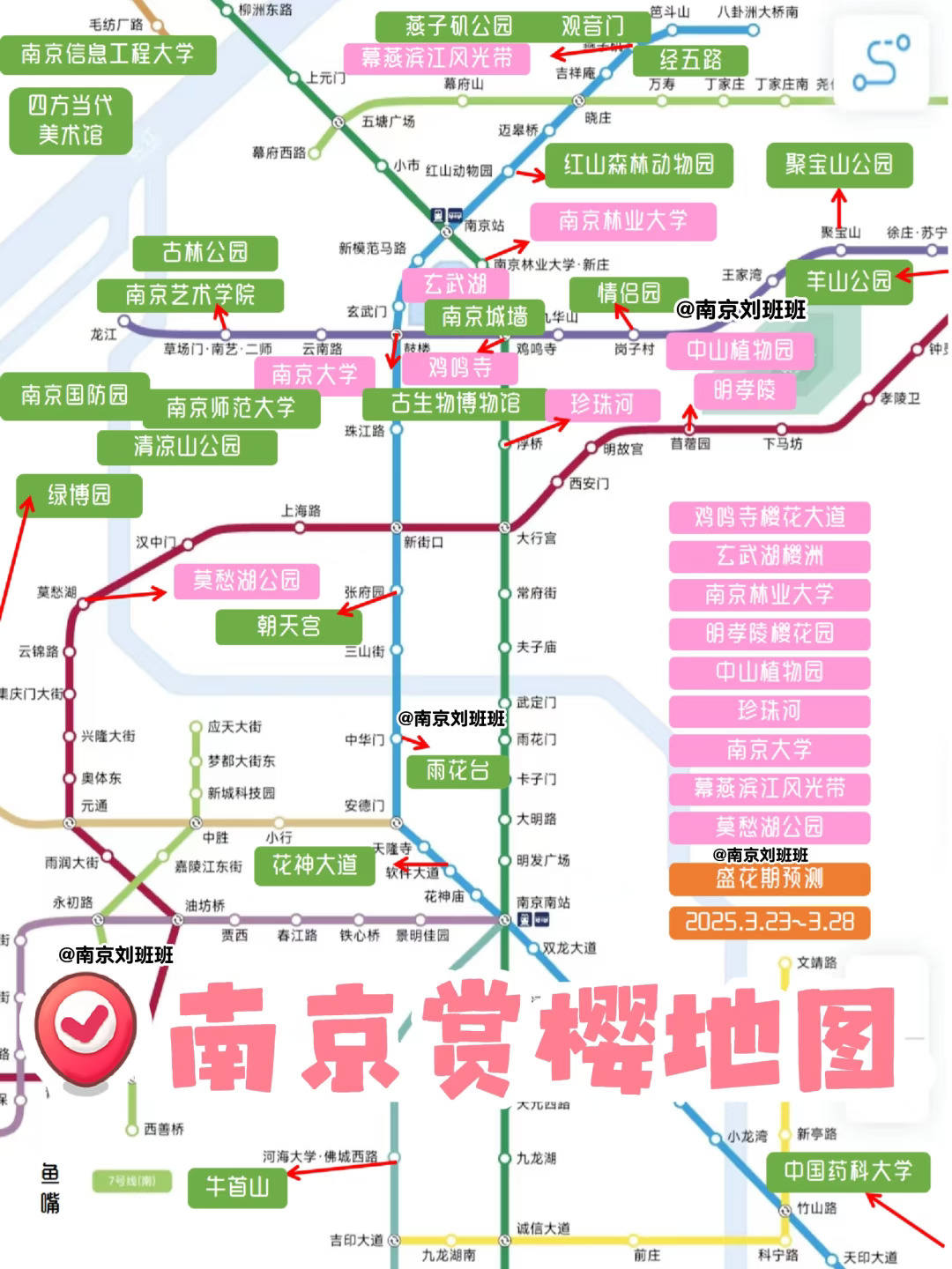 🌸开啦！25年南京赏樱地图！附花期路线！